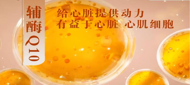 辅酶Q10.jpg
